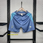 Ajax Away Shorts Football Trousers Soccer