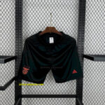 Benfica Away Shorts Football Trousers