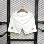 Benfica Home Shorts Football Trousers Soccer