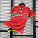 2026 Wales Home World Cup 2026 Football Apparels AAAA Jersey Wholesale