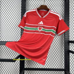 2026 Wales Home World Cup 2026 Football Apparels AAAA Jersey Wholesale
