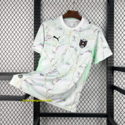 World Cup Jersey 2026 Austria Away Kit Soccer T-Shirt