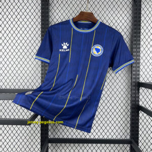 World Cup Jersey 2026 Bosnia and Herzegovina Home Kit Soccer T-Shirt