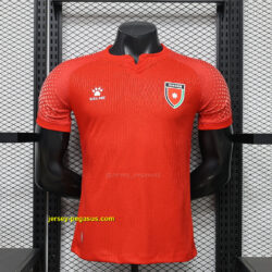 World Cup Jersey 2026 Jordan Away Kit Player Version Soccer T-Shirt