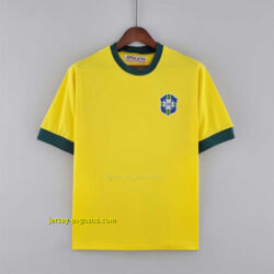 1970 Brazil home