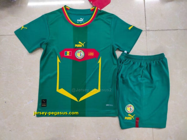 2022 Senegal away kids kit 2022 Senegal away kids kit