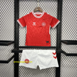 2024 Denmark Home Kid Kits UEFA Euro Youth Apparels
