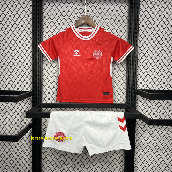 2024 Denmark Home Kid Kits UEFA Euro Youth Apparels 2024 Denmark Home Kid Kits UEFA Euro Youth Apparels