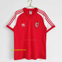 1982 Wales home
