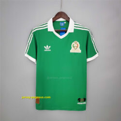 1986 Mexico home