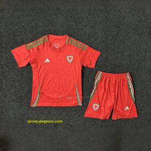 2024 Wales Home Kid Kits Children Sets Football
