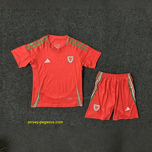 2024 Wales Home Kid Kits Children Sets Football 2024 Wales Home Kid Kits Children Sets Football