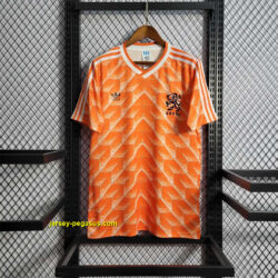 1988 Netherland home