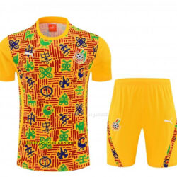 Ghana Yellow Short Sleeve+Soccer Shorts