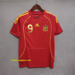 2008 Spain home