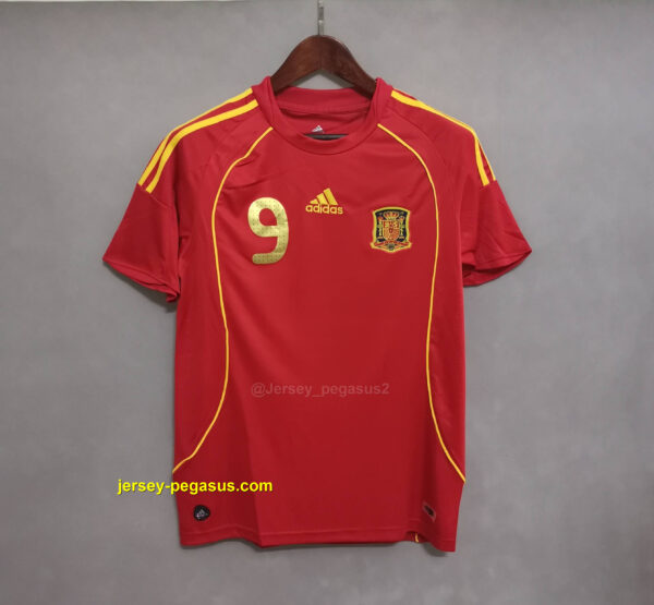 2008 Spain home