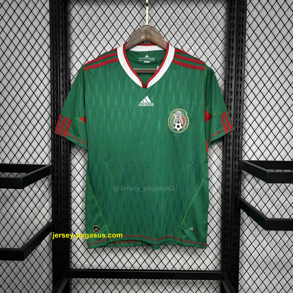 2010 Mexico home