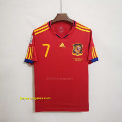 2010 Spain home