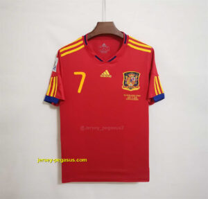 2010 Spain home
