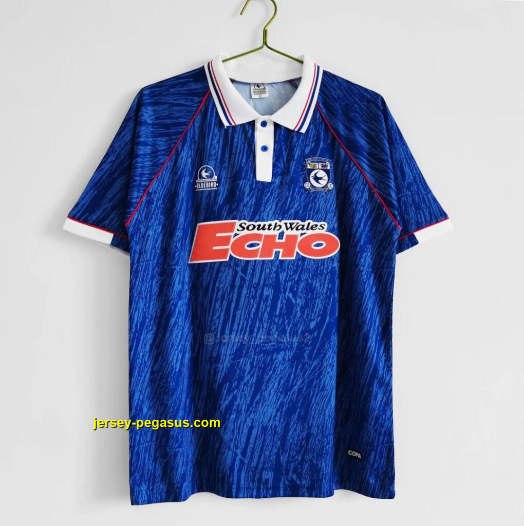 Cardiff City home