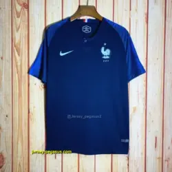 2018 France home