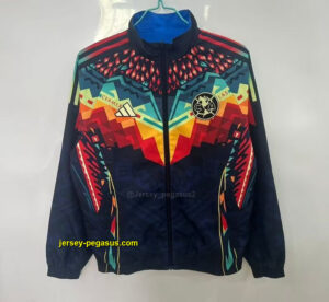 America reversible windbreaker