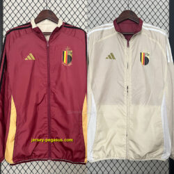 2024 Belgium Trench Coat Reversible