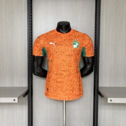 2026 Player Version Ivory Coast Jersey