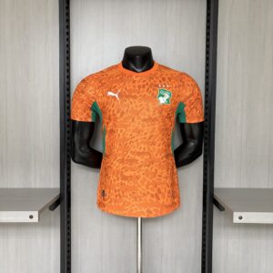 2026 Player Version Ivory Coast Jersey