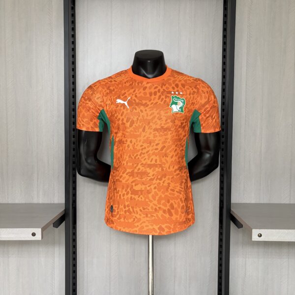 2026 Player Version Ivory Coast Jersey