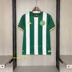 2026-27 Chapecoense Home Jersey