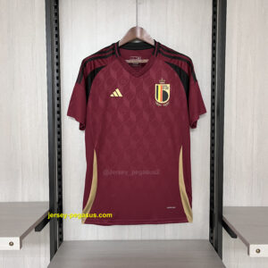 2024-25 Belgium home
