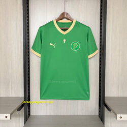 Retro 2021-22 Palmeiras Special Edition Jersey
