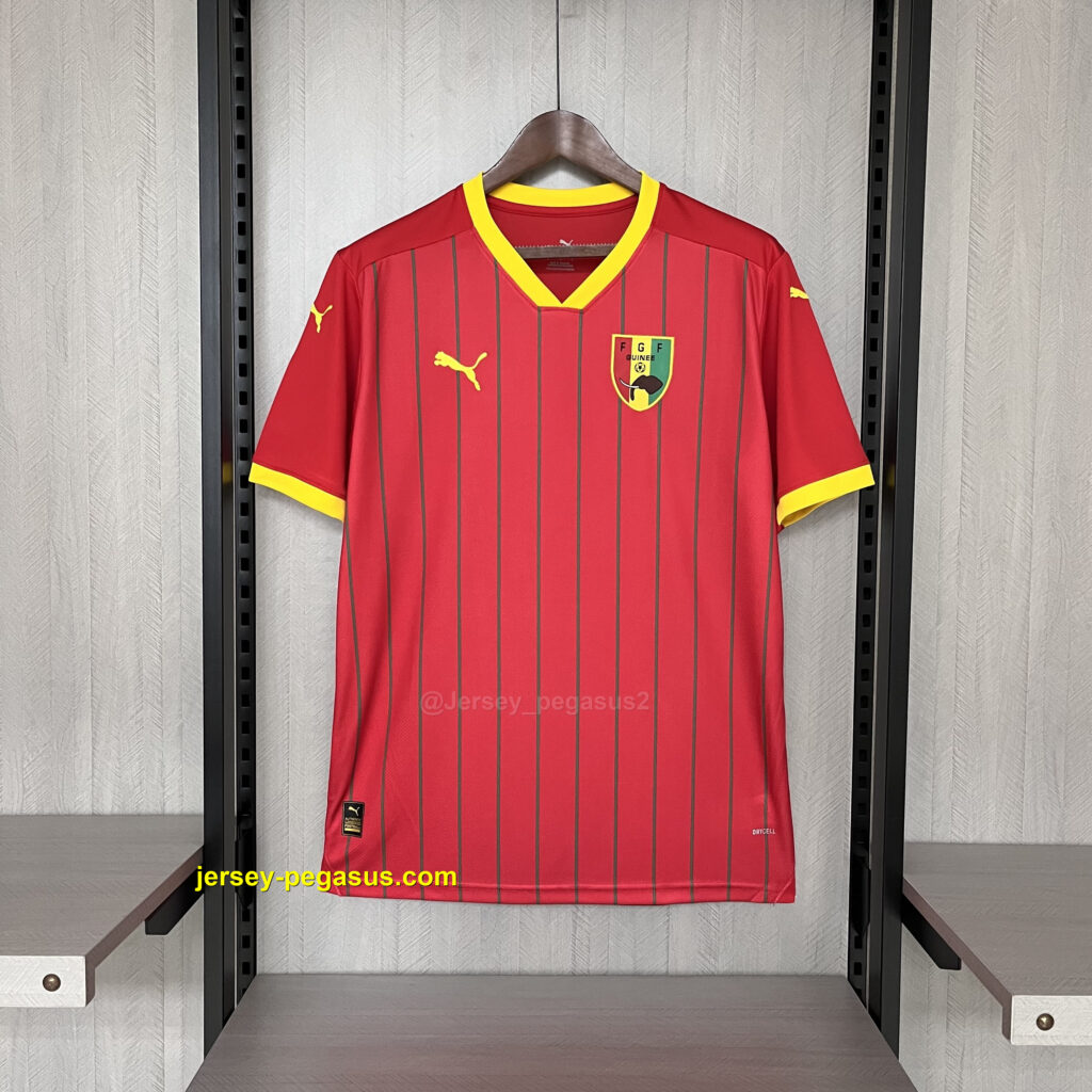 2024-25 Guinea home