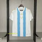 2024-25 Argentinian blue and white