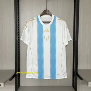 2024-25 Argentinian blue and white