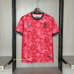 2024-25 Korea Home