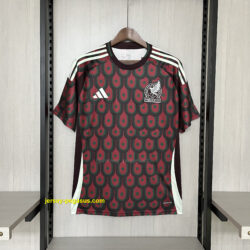 2024-25 Mexico Home