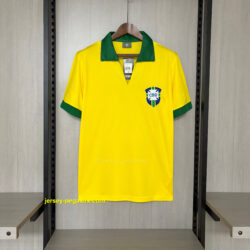Retro Brazil 1958 home