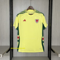 2024-25 Wales Away