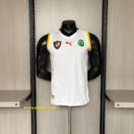 Retro Cameroon 2002 Away Jersey