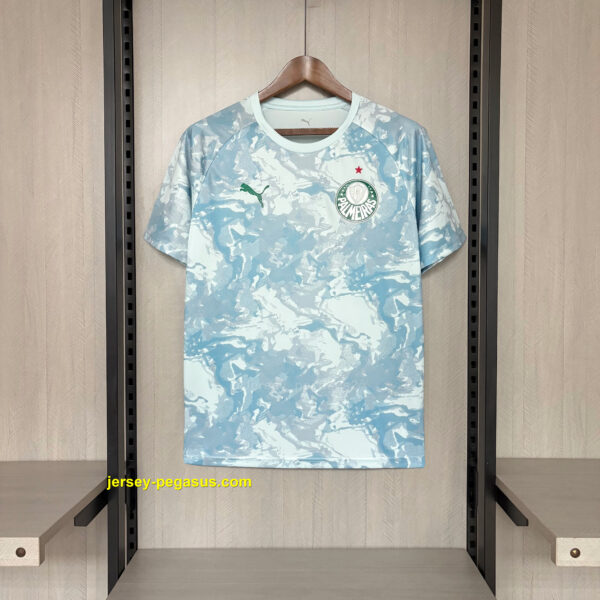 2026-27 Palmeiras Blue and White Jersey 2026-27 Palmeiras Blue and White Jersey