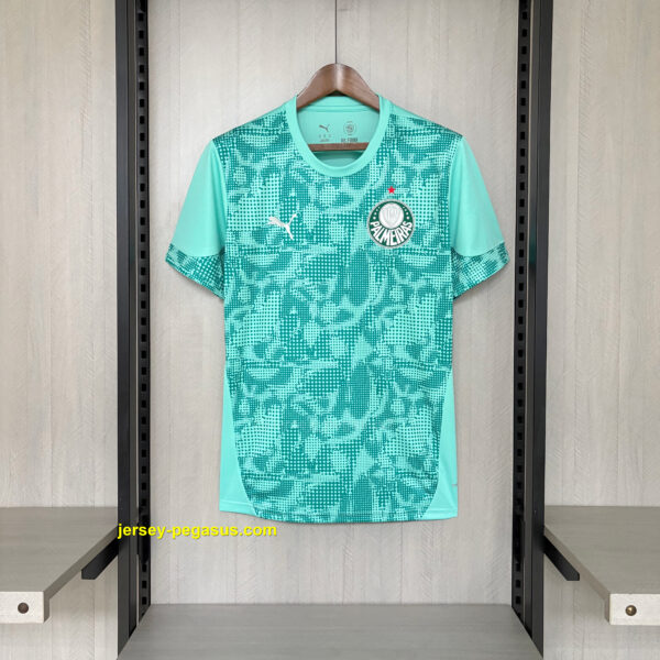 2026-27 Palmeiras Goalkeeper Jersey 2026-27 Palmeiras Goalkeeper Jersey