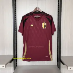 2024-25 Belgium home
