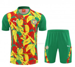 Senegal Green Tropical Floral Print Short Sleeve Training Suit + Shorts