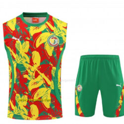 Senegal Green Tropical Floral Print Sleeveless Training Vest +Shorts Set