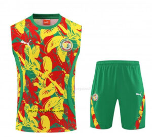 Senegal Green Tropical Floral Print Sleeveless Training Vest +Shorts Set