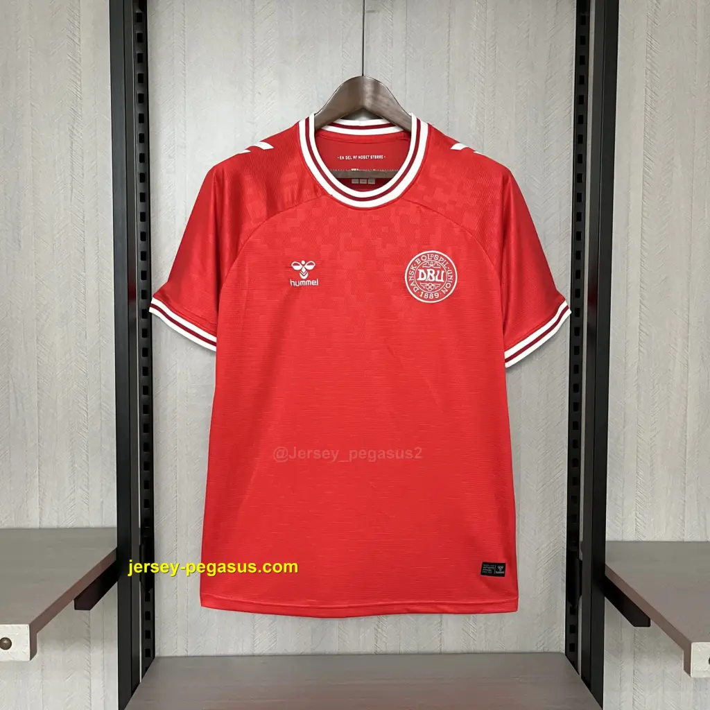 2024-25 Denmark home