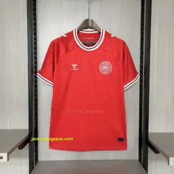 2024-25 Denmark home