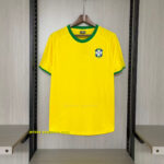 Retro brazil 1970 home